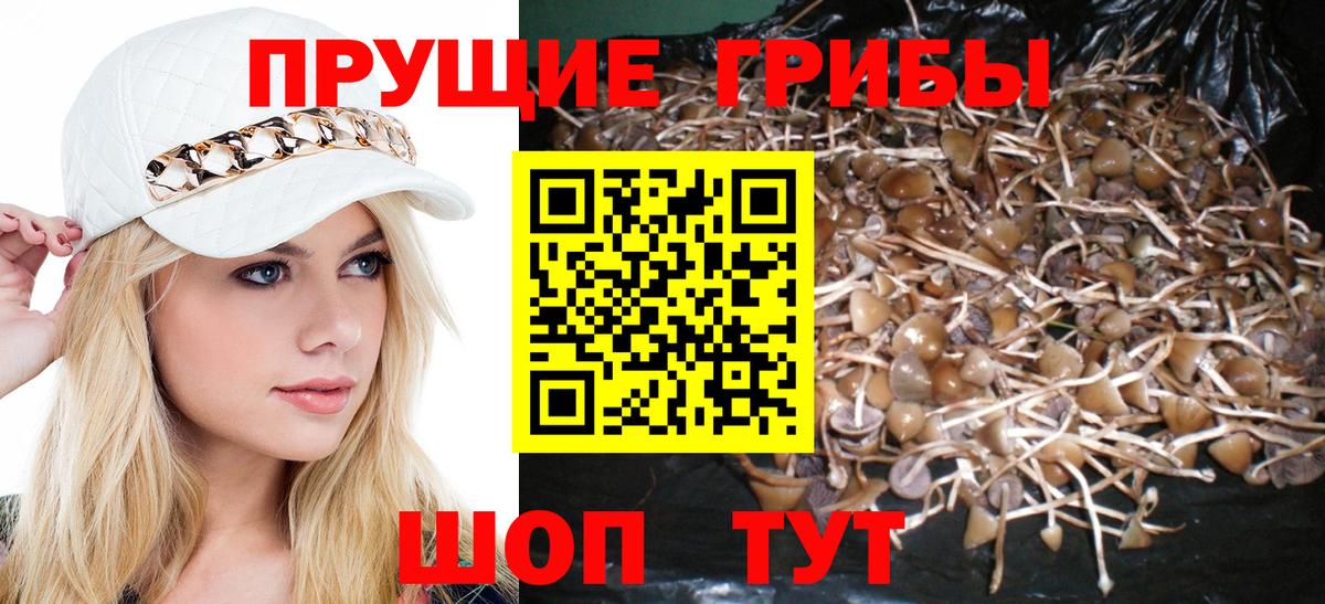 Псилоцибиновые грибы MAGIC MUSHROOMS Бор
